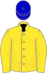 Yellow, yellow sleeves, blue cap