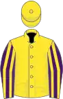 Yellow, Purple and Yellow striped sleeves