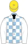 Light Blue and White check, White sleeves, Yellow cap