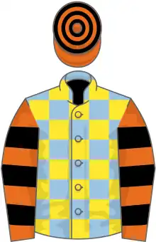 Light blue and yellow check, orange and black hooped sleeves and cap