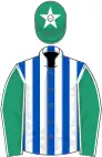 Royal blue and white stripes, emerald green sleeves, white seams, emerald green cap, white star