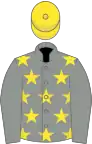 Grey, yellow stars, grey sleeves, yellow cap