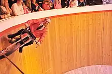 stuntman on a vehicle inside the well of death
