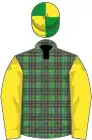 Mcalpine tartan, yellow sleeves, green and yellow quartered cap