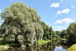 Pääsküla River in Laagri