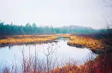 Early spring scene, near Clam Lake