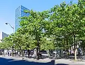 Photograph of the Place Jussieu