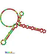 P14:  Secondary structure taken from the Rfam database. Family RF01669