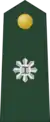 Major(Philippine Army)