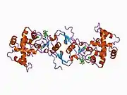 1bmo: BM-40, FS/EC DOMAIN PAIR