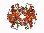 1buw: CRYSTAL STRUCTURE OF S-NITROSO-NITROSYL HUMAN HEMOGLOBIN A