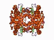 1cbm: THE 1.8 ANGSTROM STRUCTURE OF CARBONMONOXY-BETA4 HEMOGLOBIN: ANALYSIS OF A HOMOTETRAMER WITH THE R QUATERNARY STRUCTURE OF LIGANDED ALPHA2BETA2 HEMOGLOBIN