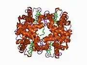 1cls: CROSS-LINKED HUMAN HEMOGLOBIN DEOXY