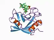 1cwj: HUMAN CYCLOPHILIN A COMPLEXED WITH 2-VAL 3-S-METHYL-SARCOSINE CYCLOSPORIN