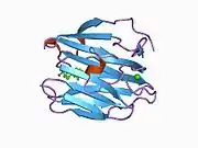 1d2s: CRYSTAL STRUCTURE OF THE N-TERMINAL LAMININ G-LIKE DOMAIN OF SHBG IN COMPLEX WITH DIHYDROTESTOSTERONE