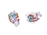 1de9: HUMAN APE1 ENDONUCLEASE WITH BOUND ABASIC DNA AND MN2+ ION