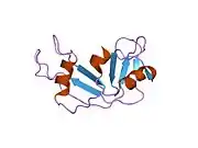 1e21: RIBONUCLEASE 1 DES1-7 CRYSTAL STRUCTURE AT 1.9A