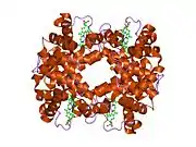1gli: DEOXYHEMOGLOBIN T38W (ALPHA CHAINS), V1G (ALPHA AND BETA CHAINS)