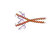1gu4: CRYSTAL STRUCTURE OF C/EBPBETA BZIP DIMERIC BOUND TO A HIGH AFFINITY DNA FRAGMENT