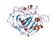 1hcb: ENZYME-SUBSTRATE INTERACTIONS: STRUCTURE OF HUMAN CARBONIC ANHYDRASE I COMPLEXED WITH BICARBONATE