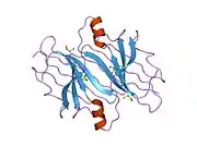 1ijn: Crystal structure of the transthyretin mutant TTR C10A/Y114C