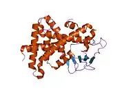 1ilg: Crystal Structure of Apo Human Pregnane X Receptor Ligand Binding Domain