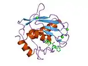 1jk3: Crystal structure of human MMP-12 (Macrophage Elastase) at true atomic resolution