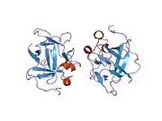 1jqz: Human Acidic Fibroblast Growth Factor. 141 Amino Acid Form with Amino Terminal His Tag.