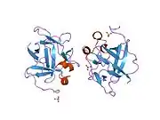 1jt3: Human Acidic Fibroblast Growth Factor. 141 Amino Acid Form with Amino Histidine Tag AND LEU 73 REPLACED BY VAL (L73V)