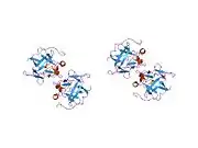 1jt7: Human Acidic Fibroblast Growth Factor. 141 Amino Acid Form with Amino Terminal His Tag AND LEU 44 REPLACED BY PHE AND LEU 73 REPLACED BY VAL AND VAL 109 REPLACED BY LEU (L44F/L73V/V109L)