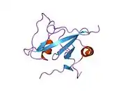 1ka7: SAP/SH2D1A bound to peptide n-Y-c
