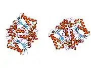1kbq: Complex of Human NAD(P)H quinone Oxidoreductase with 5-methoxy-1,2-dimethyl-3-(4-nitrophenoxymethyl)indole-4,7-dione (ES936)