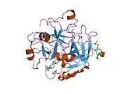 1ktt: Thrombin inhibitor complex