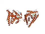 1l2j: Human Estrogen Receptor beta Ligand-binding Domain in Complex with (R,R)-5,11-cis-diethyl-5,6,11,12-tetrahydrochrysene-2,8-diol