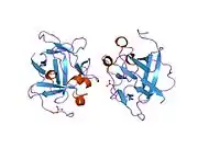1m16: Human Acidic Fibroblast Growth Factor. 141 Amino Acid Form with Amino Terminal His Tag and Leu 44 Replaced with Phe (L44F), Leu 73 Replaced with Val (L73V), Val 109 Replaced with Leu (V109L) and Cys 117 Replaced with Val (C117V).
