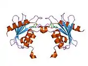 1mq0: Crystal Structure of Human Cytidine Deaminase
