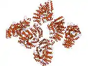 1n4p: Protein Geranylgeranyltransferase type-I Complexed with Geranylgeranyl Diphosphate