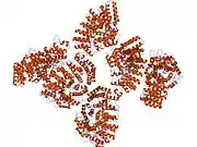 1n4q: Protein Geranylgeranyltransferase type-I Complexed with a GGPP Analog and a KKKSKTKCVIL Peptide