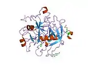 1no9: Design of weakly basic thrombin inhibitors incorporating novel P1 binding functions: molecular and X-ray crystallographic studies.