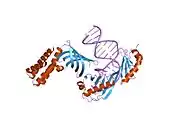 1nvp: HUMAN TFIIA/TBP/DNA COMPLEX