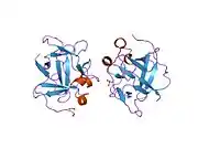 1p63: Human Acidic Fibroblast Growth Factor. 140 Amino Acid Form with Amino Terminal His Tag and Leu111 Replaced with Ile (L111I)