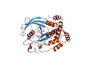 1ptu: CRYSTAL STRUCTURE OF PROTEIN TYROSINE PHOSPHATASE 1B COMPLEXED WITH PHOSPHOTYROSINE-CONTAINING HEXA-PEPTIDE (DADEPYL-NH2)