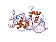 1r0n: Crystal Structure of Heterodimeric Ecdsyone receptor DNA binding complex