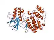 1r3c: The structure of p38alpha C162S mutant