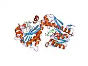 1rbm: Human GAR Tfase complex structure with polyglutamated 10-(trifluoroacetyl)-5,10-dideazaacyclic-5,6,7,8-tetrahydrofolic acid