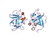 1rg8: Human Acidic Fibroblast Growth Factor (haFGF-1) at 1.10 angstrom resolution (140 amino acid form)