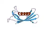 1roa: Structure of human cystatin D