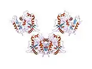 1rxt: Crystal structure of human myristoyl-CoA:protein N-myristoyltransferase.