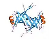 1s3o: Human mitochondrial single strand DNA binding protein (hmSSB)