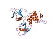 1sgh: Moesin FERM domain bound to EBP50 C-terminal peptide